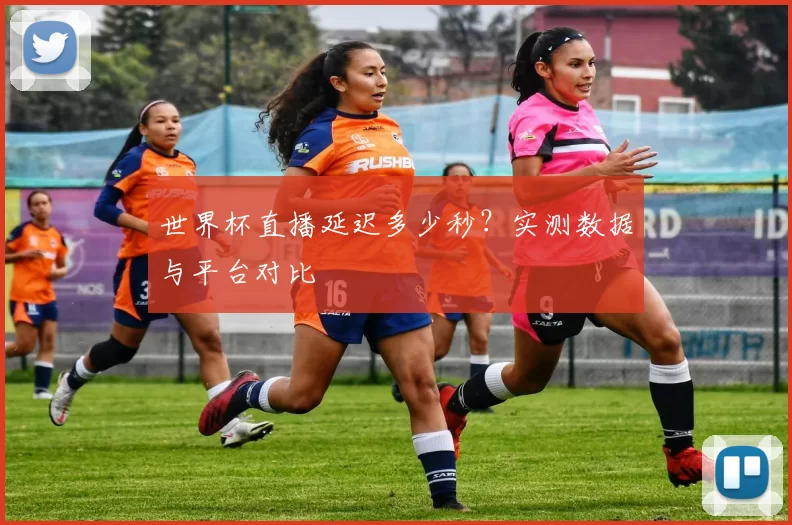 世界杯直播延迟多少秒？实测数据与平台对比