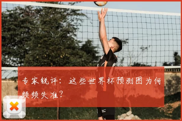 专家锐评:这些世界杯预测图为何频频失准?