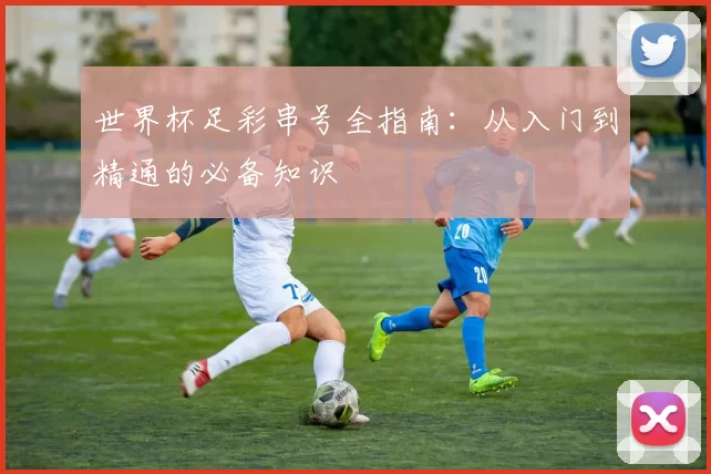 世界杯足彩串号全指南：从入门到精通的必备知识