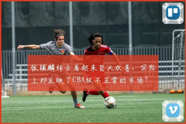 张镇麟转会看起来皆大欢喜,实际上却反映了CBA极不正常的市场?