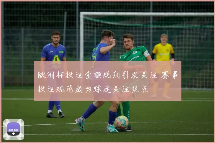 欧洲杯投注金额规则引发关注 赛事投注规范成为球迷关注焦点