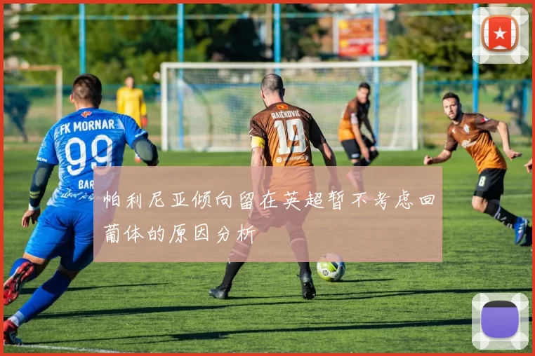 帕利尼亚倾向留在英超暂不考虑回葡体的原因分析