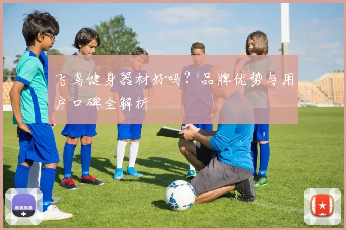 飞鸟健身器材好吗?品牌优势与用户口碑全解析