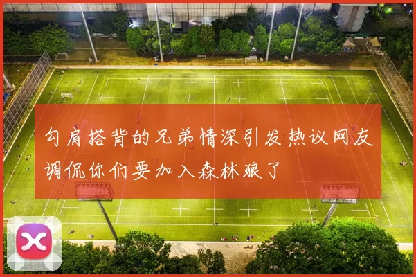 勾肩搭背的兄弟情深引发热议网友调侃你们要加入森林狼了