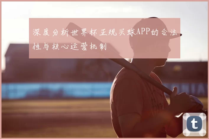 深度分析世界杯正规买球APP的合法性与核心运营机制