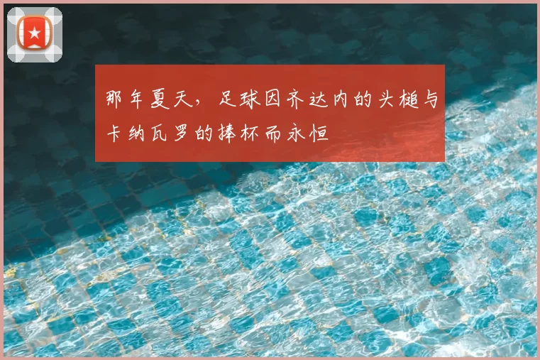 那年夏天,足球因齐达内的头槌与卡纳瓦罗的捧杯而永恒