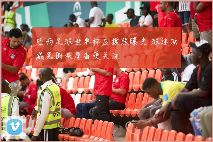 巴西足球世界杯应援照曝光 球迷助威氛围浓厚备受关注
