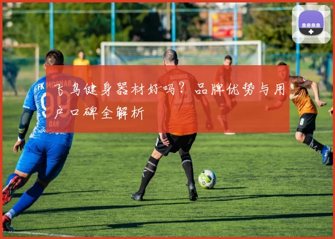飞鸟健身器材好吗?品牌优势与用户口碑全解析